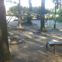 Calisthenics Park at улица Ленина, Балашиха - thumbnail 3