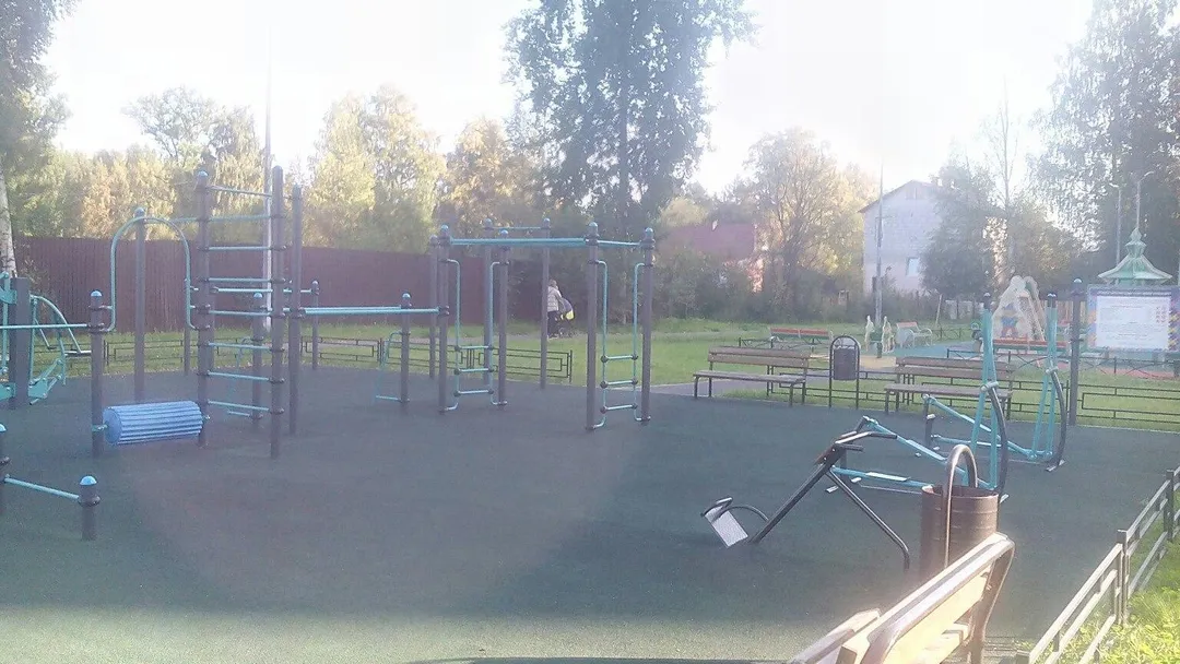 Monkey bar presso Calisthenics Park at Муринская дорога, Санкт-Петербург #wp2379 – foto 3 di 3