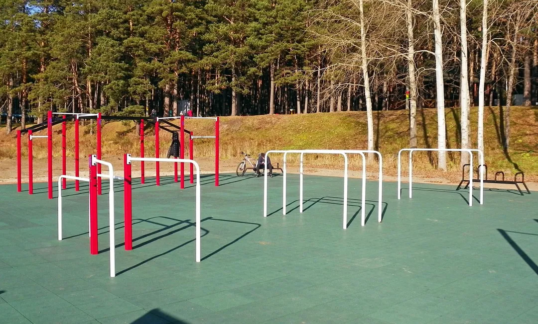 Spalier la Calisthenics Park at улица Обские зори, городской округ Новосибирск – fotografia 4 din 9
