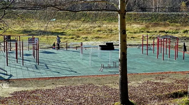 Calisthenics Park at улица Обские зори, городской округ Новосибирск