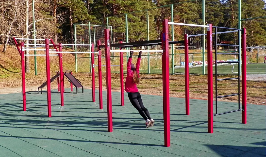 Bară de flotări la Calisthenics Park at улица Обские зори, городской округ Новосибирск – fotografia 6 din 9