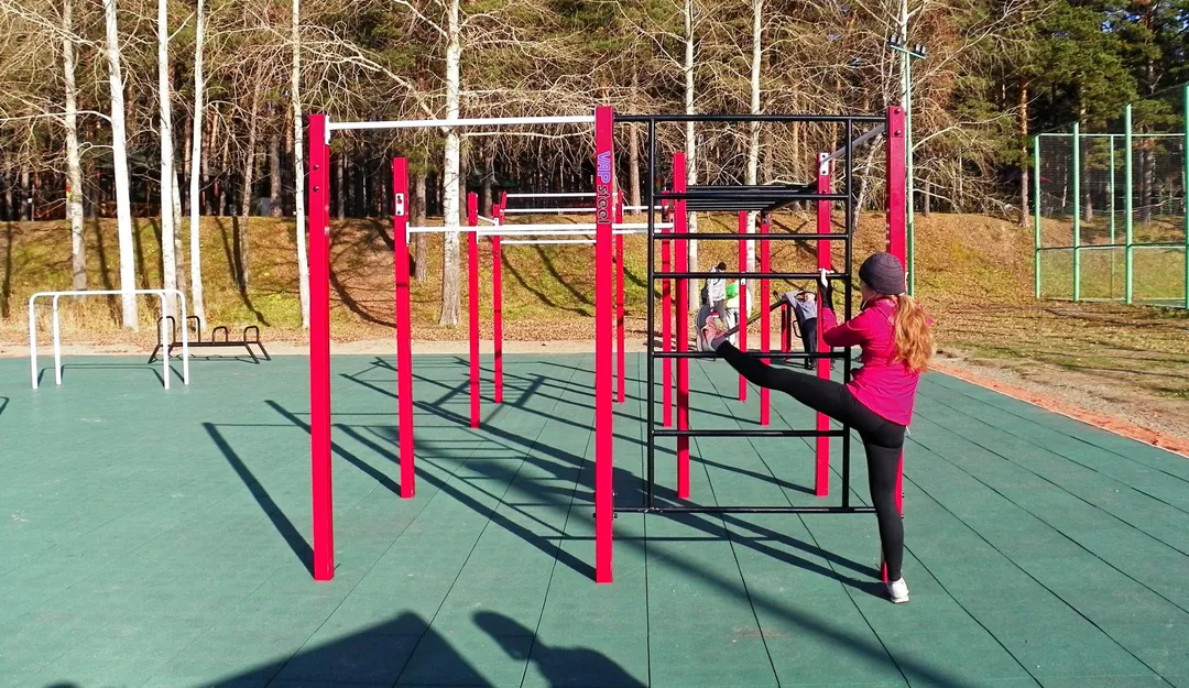 Monkey Bars la Calisthenics Park at улица Обские зори, городской округ Новосибирск – fotografia 3 din 9