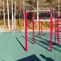 Calisthenics Park at улица Обские зори, городской округ Новосибирск - thumbnail 3