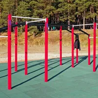 Calisthenics Park at улица Обские зори, городской округ Новосибирск - thumbnail 7