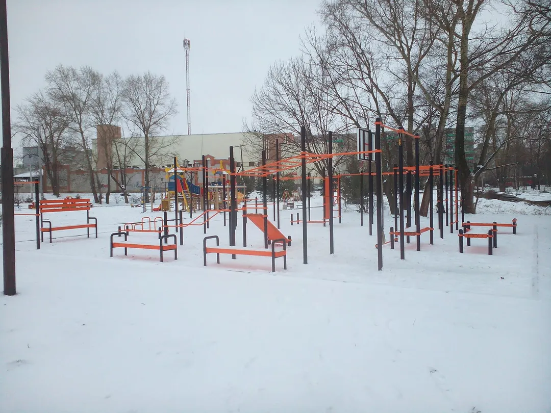 Турник на площадке Calisthenics Park at переулок Заря, городское поселение Тутаев – фото 1 из 1