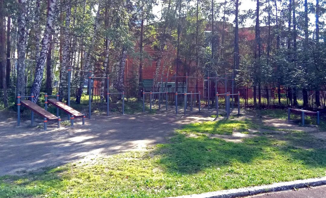 Bare paralele la Calisthenics Park at тропинка академика Б. В. Войцеховского, городской округ Новосибирск – fotografia 2 din 12
