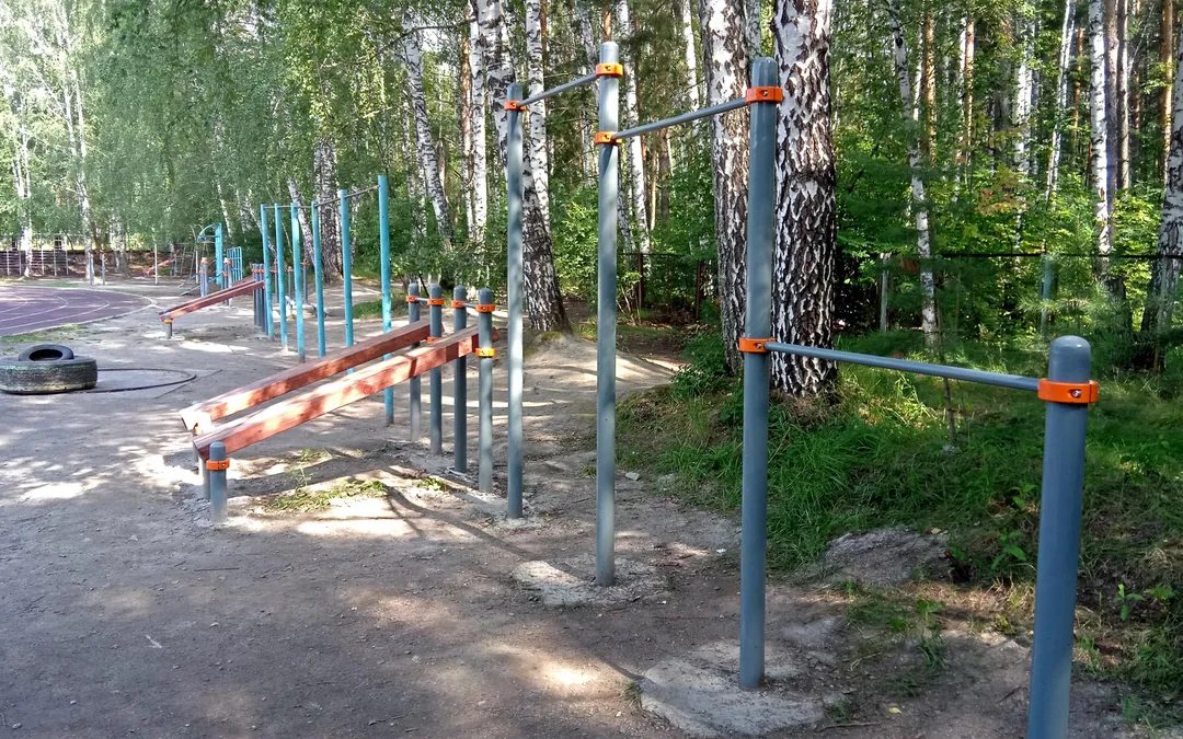 Bancă pentru abdomen la Calisthenics Park at тропинка академика Б. В. Войцеховского, городской округ Новосибирск – fotografia 5 din 12