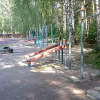 Calisthenics Park at тропинка академика Б. В. Войцеховского, городской округ Новосибирск - thumbnail 5