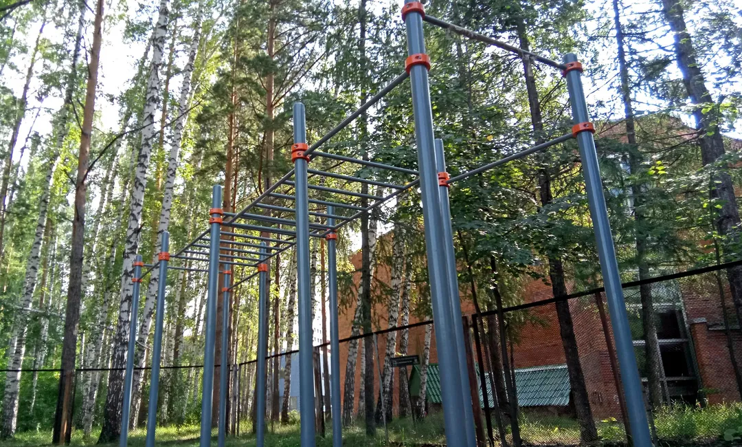 Monkey Bars la Calisthenics Park at тропинка академика Б. В. Войцеховского, городской округ Новосибирск – fotografia 3 din 12