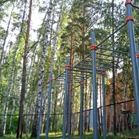 Calisthenics Park at тропинка академика Б. В. Войцеховского, городской округ Новосибирск - thumbnail 3