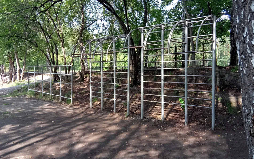 Bancă pentru abdomen la Calisthenics Park at тропинка академика Б. В. Войцеховского, городской округ Новосибирск – fotografia 10 din 12