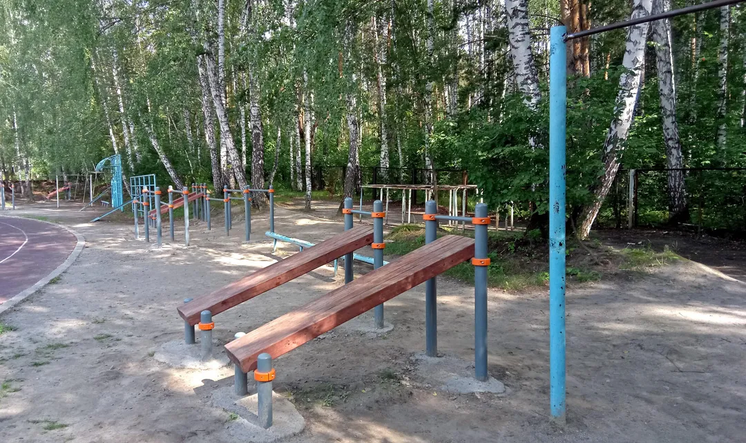 Bară de tracțiuni la Calisthenics Park at тропинка академика Б. В. Войцеховского, городской округ Новосибирск – fotografia 6 din 12