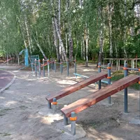 Calisthenics Park at тропинка академика Б. В. Войцеховского, городской округ Новосибирск - thumbnail 6