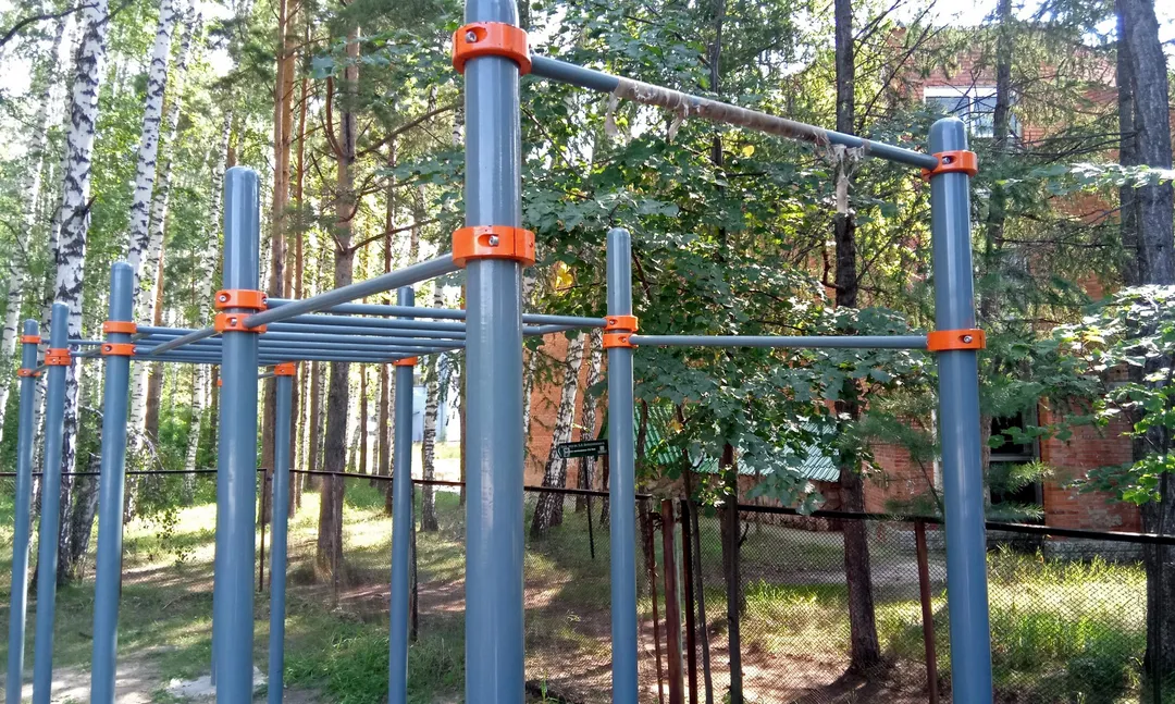 Spalier la Calisthenics Park at тропинка академика Б. В. Войцеховского, городской округ Новосибирск – fotografia 4 din 12