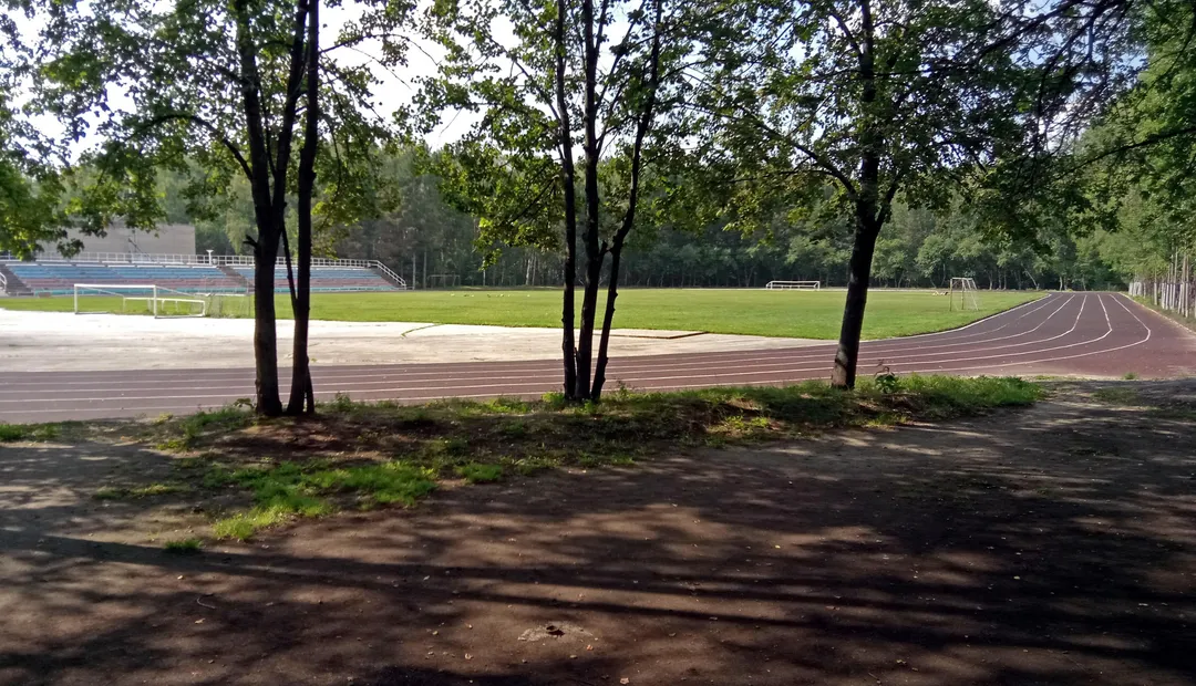 Bară de tracțiuni la Calisthenics Park at тропинка академика Б. В. Войцеховского, городской округ Новосибирск – fotografia 11 din 12