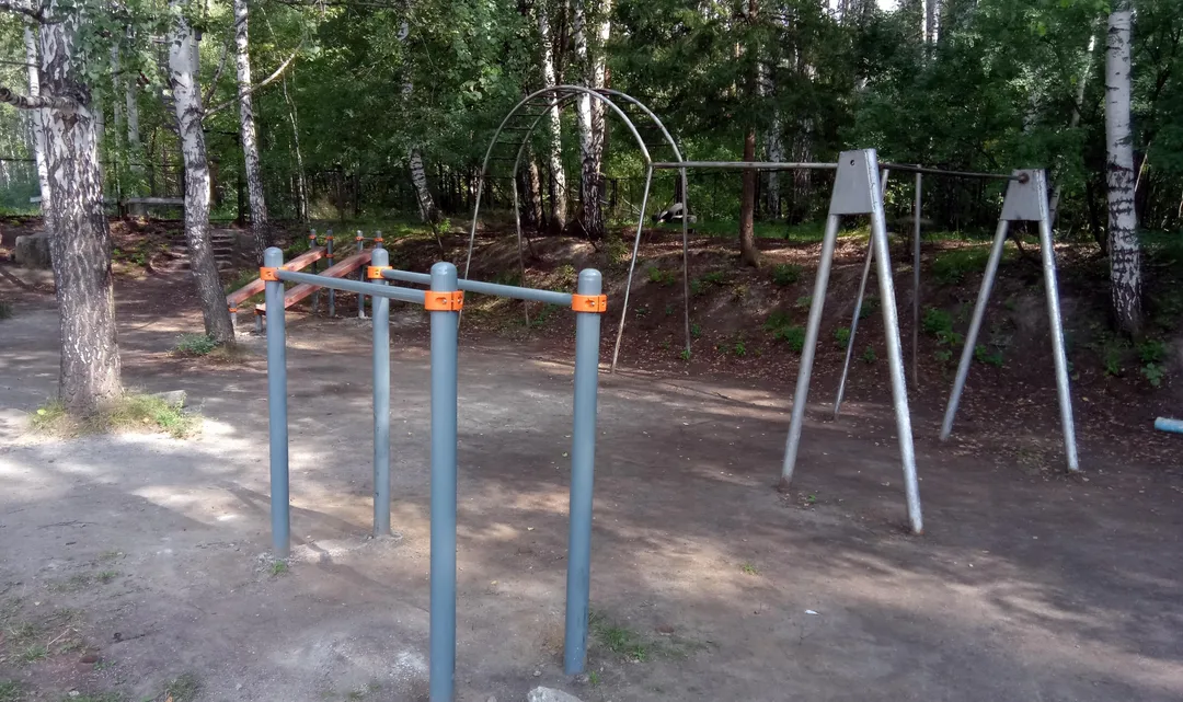 Spalier la Calisthenics Park at тропинка академика Б. В. Войцеховского, городской округ Новосибирск – fotografia 9 din 12