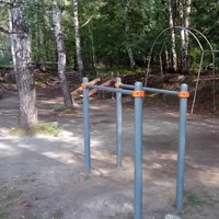 Calisthenics Park at тропинка академика Б. В. Войцеховского, городской округ Новосибирск - thumbnail 9