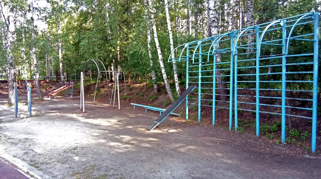 Monkey Bars la Calisthenics Park at тропинка академика Б. В. Войцеховского, городской округ Новосибирск – fotografia 8 din 12