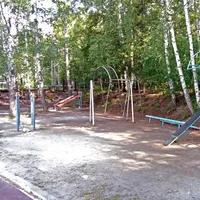 Calisthenics Park at тропинка академика Б. В. Войцеховского, городской округ Новосибирск - thumbnail 8