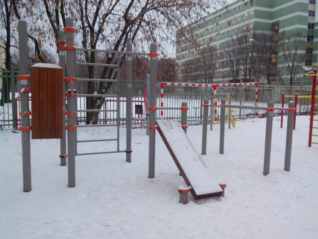 Шведська стінка на майданчику Calisthenics Park at Открытое шоссе, Москва #wp2385 – фото 3 з 5