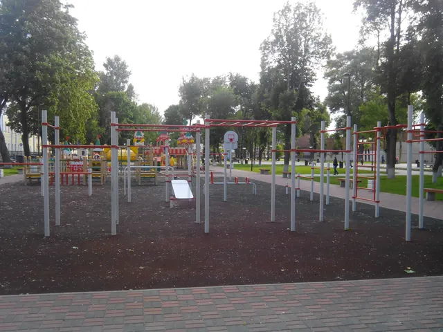 Calisthenics Park at Садовый переулок, Тула