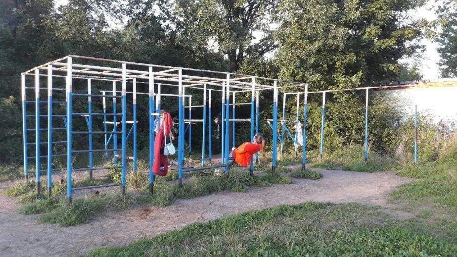 Pull Up Bar at Calisthenics Park at улица Маршала Жукова, Власиха – photo 1 of 1