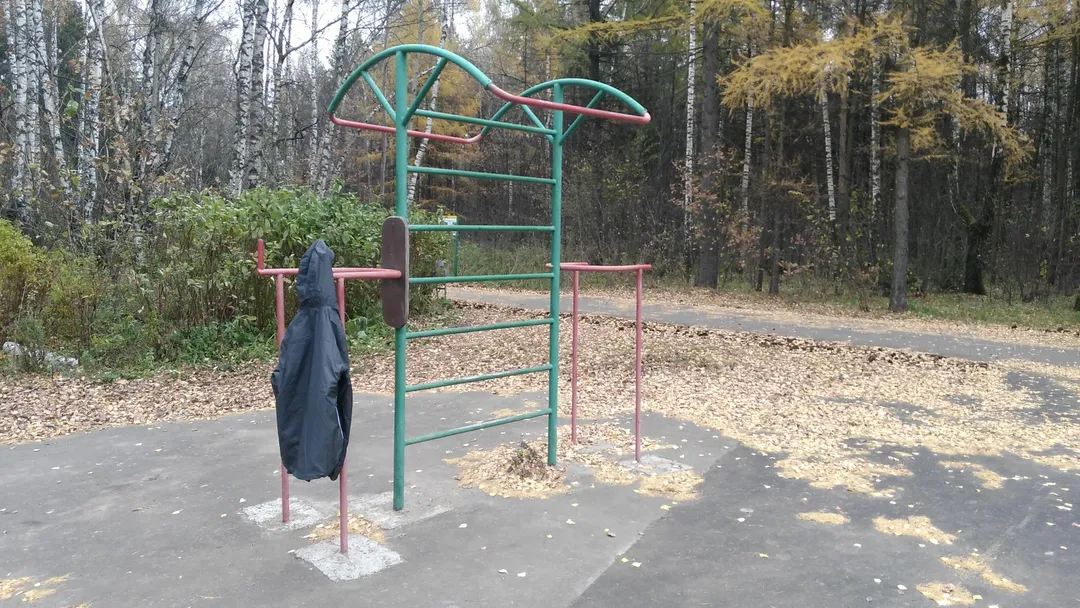Шведська стінка на майданчику Calisthenics Park at улица Поляны, Москва – фото 4 з 4