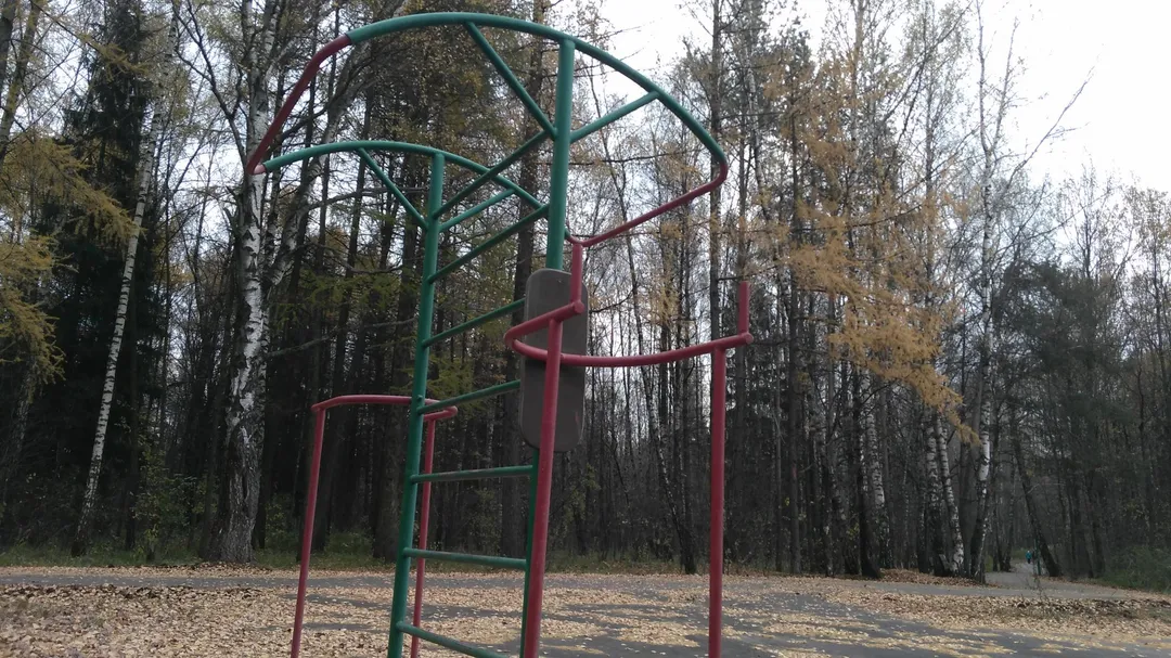 Лавка для преса на майданчику Calisthenics Park at улица Поляны, Москва – фото 3 з 4