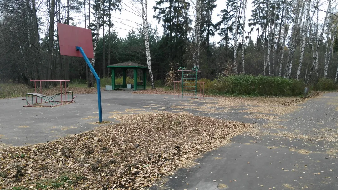 Бруси на майданчику Calisthenics Park at улица Поляны, Москва – фото 2 з 4