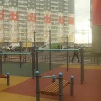 Calisthenics Park at улица Корнея Чуковского, Санкт-Петербург - thumbnail 1