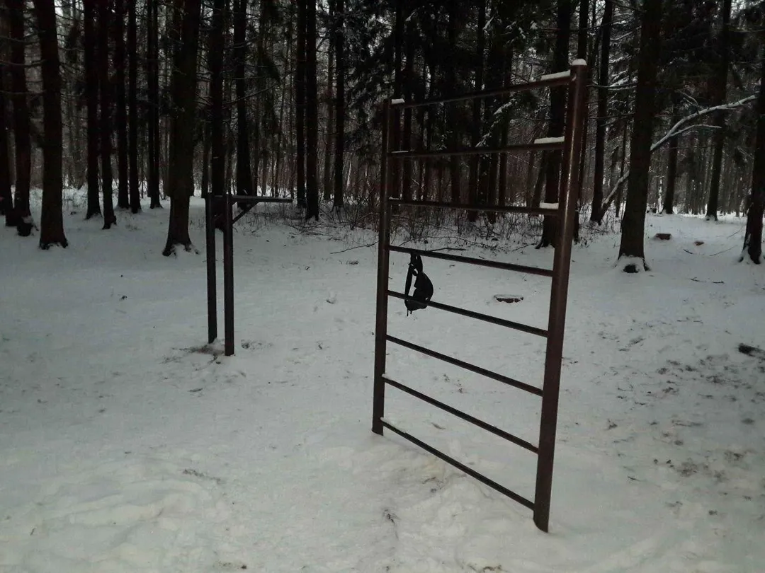 Barre de traction à Calisthenics Park at Балаклавский проспект, Москва – photo 1 sur 3