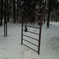 Calisthenics Park at Балаклавский проспект, Москва - thumbnail 1