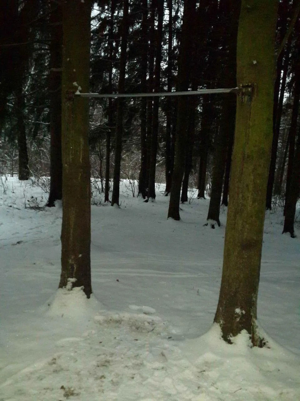 Espalier à Calisthenics Park at Балаклавский проспект, Москва – photo 3 sur 3
