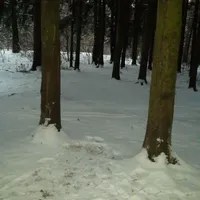 Calisthenics Park at Балаклавский проспект, Москва - thumbnail 3