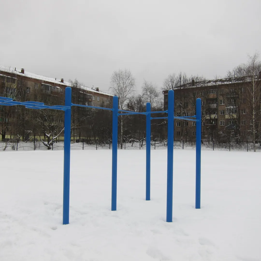 Monkey Bars at Calisthenics Park at Хотьковский проезд, Сергиев Посад – photo 3 of 9