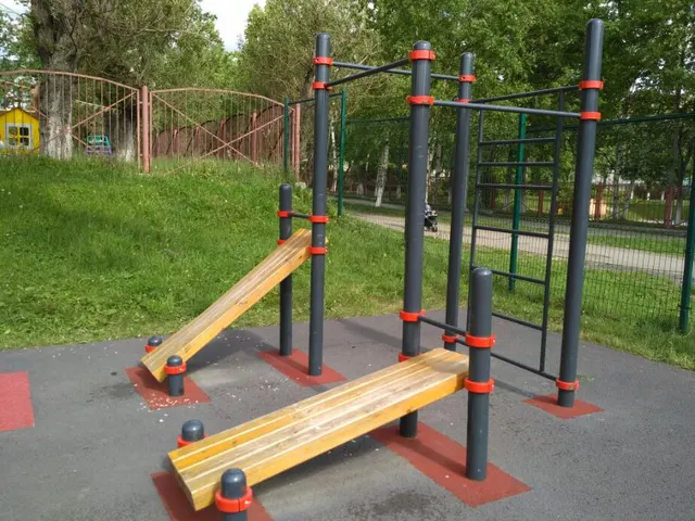 Calisthenics Park at проспект Победы, Южно-Сахалинск