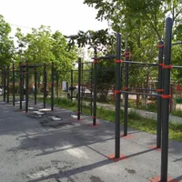 Calisthenics Park at проспект Победы, Южно-Сахалинск - thumbnail 2