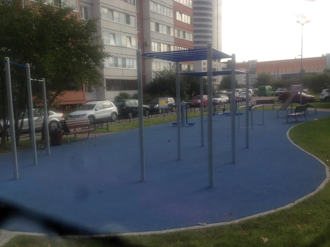 Sbarra per trazioni presso Calisthenics Park at Богатырский проспект, Санкт-Петербург – foto 1 di 3