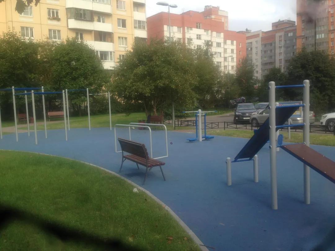 Monkey bar presso Calisthenics Park at Богатырский проспект, Санкт-Петербург – foto 3 di 3