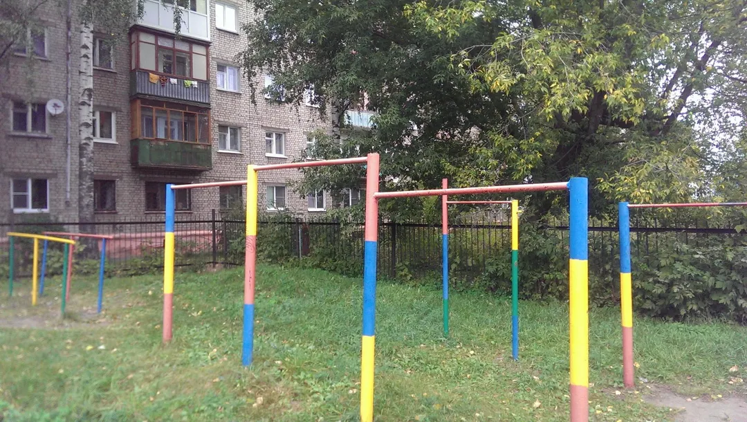 Monkey Bars at Calisthenics Park at Якорная улица, Нижний Новгород – photo 6 of 10