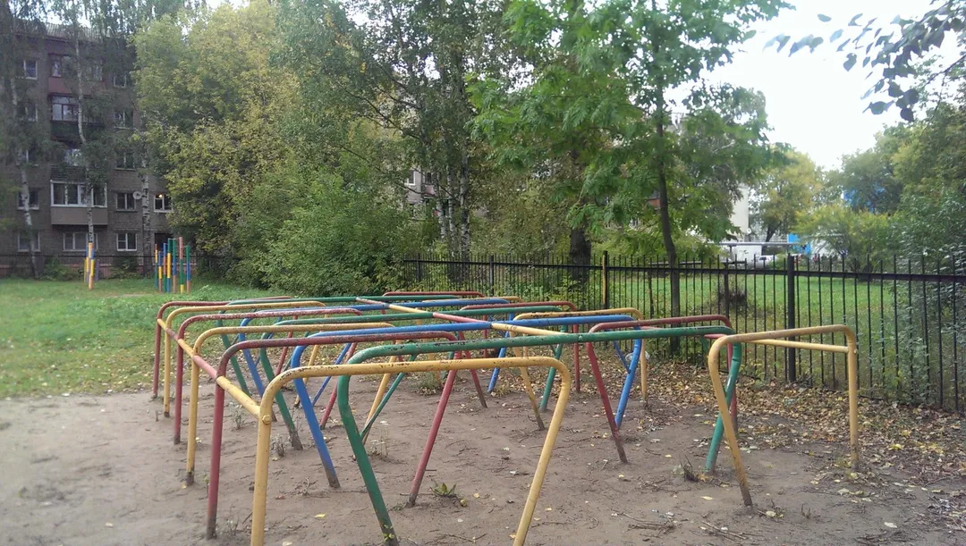 Monkey Bars at Calisthenics Park at Якорная улица, Нижний Новгород – photo 3 of 10