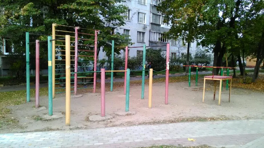 Barren bei Calisthenics Park at улица Объединения, Балашиха – Foto 2 von 3