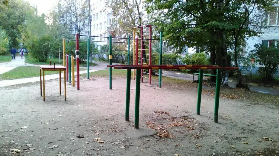 Klimmzugstange bei Calisthenics Park at улица Объединения, Балашиха – Foto 1 von 3