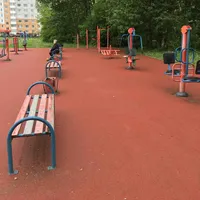 Calisthenics Park at Детско-юношеская спортивная школа олимпийского резерва Кировского района, Санкт-Петербург - thumbnail 1