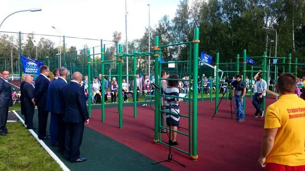 Wall Bars at Calisthenics Park at улица Горького, Старая Купавна – photo 4 of 4