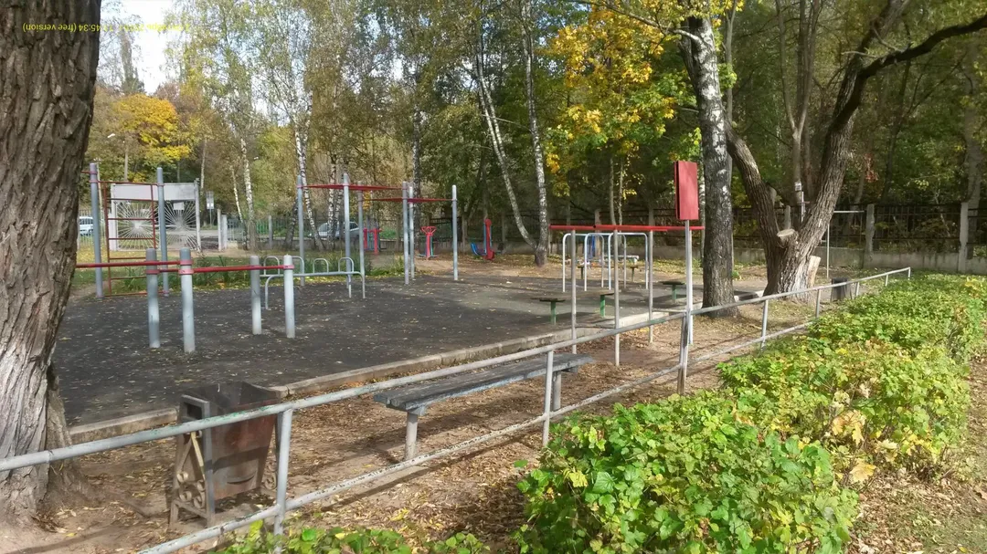 Monkey Bars la Calisthenics Park at Полёт, Лыткарино – fotografia 3 din 3