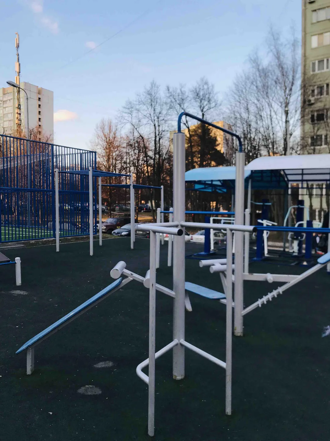 Monkey bar presso Calisthenics Park at улица Красного Маяка, Москва #wp2433 – foto 3 di 3