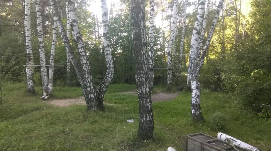 Barren bei Calisthenics Park at Ласточкин проезд, Балашиха – Foto 2 von 3