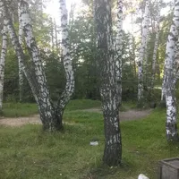 Calisthenics Park at Ласточкин проезд, Балашиха - thumbnail 2