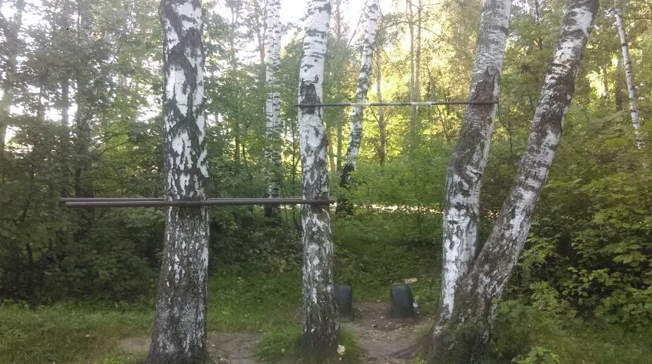 Klimmzugstange bei Calisthenics Park at Ласточкин проезд, Балашиха – Foto 1 von 3